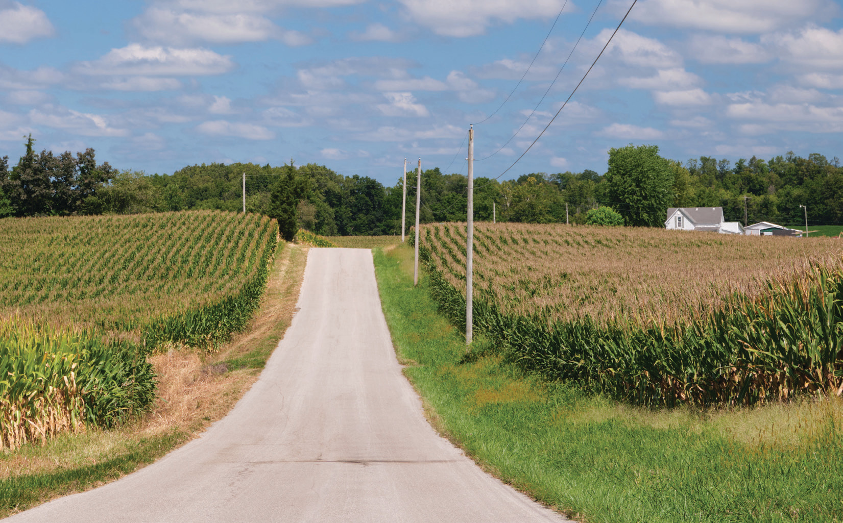 Rural scene with power lines