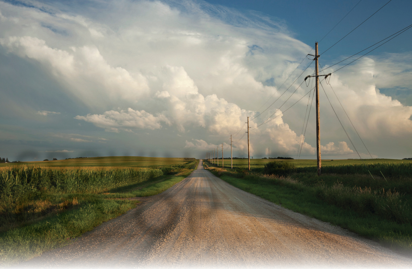 Growing up coop Indiana Connection