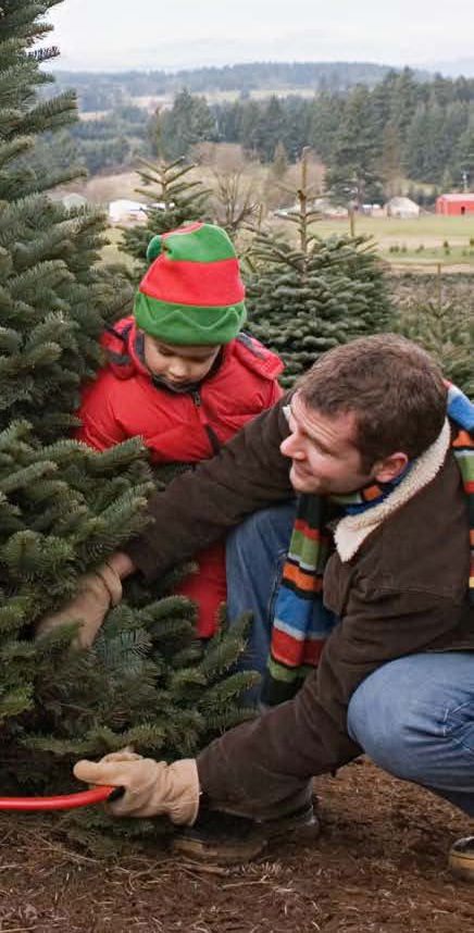 Man and boy cutting Christmas tree