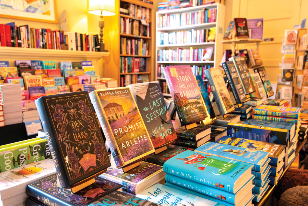 Wild Geese Bookshop offers a wide selection of general interest books designed to spark imagination and curiosity.