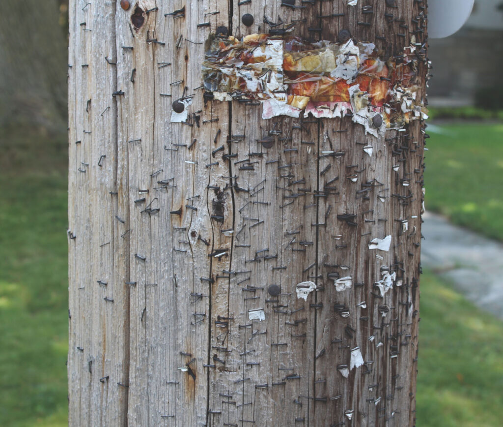 Pole with nails