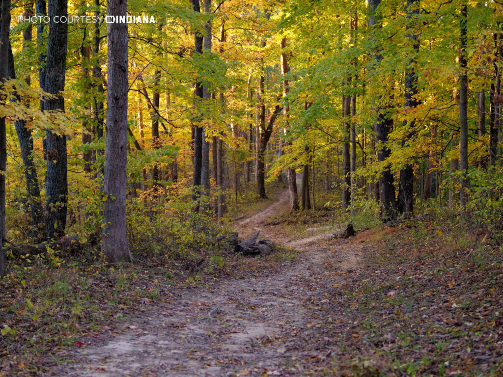 Brown County State Park