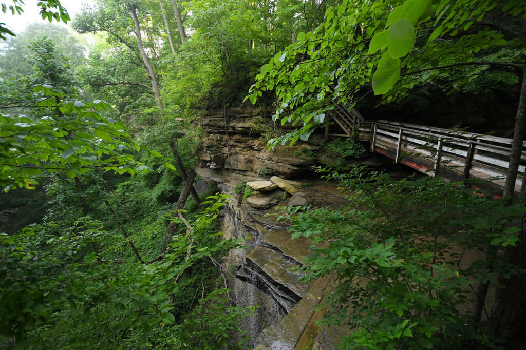Clifty Falls