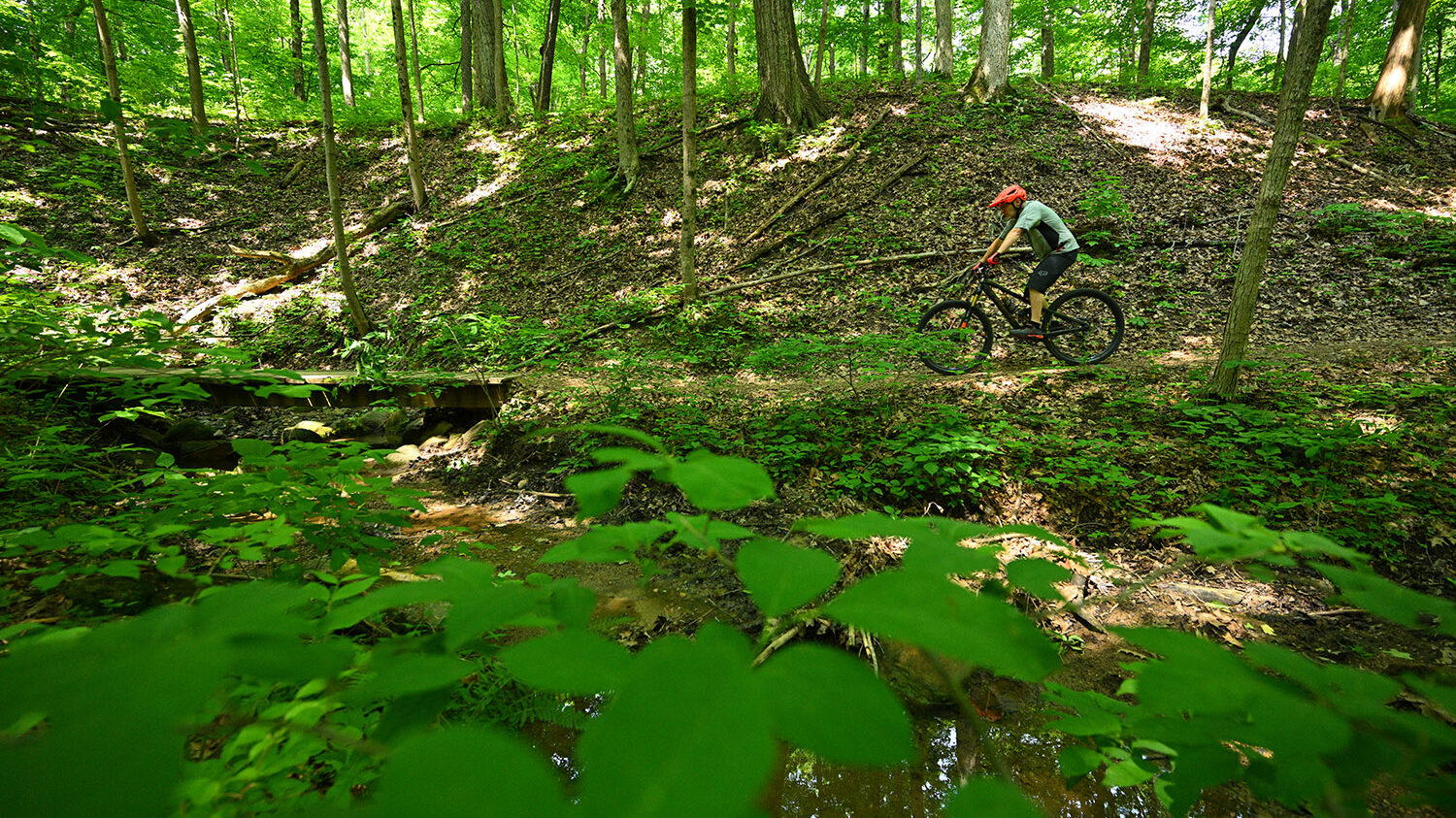 A springtime bike ride along one of Fort Harrison State Park’s trails is one way to enjoy the natural beauty at this former U.S. Army post. (Photo courtesy of Indiana Department of Natural Resources.)