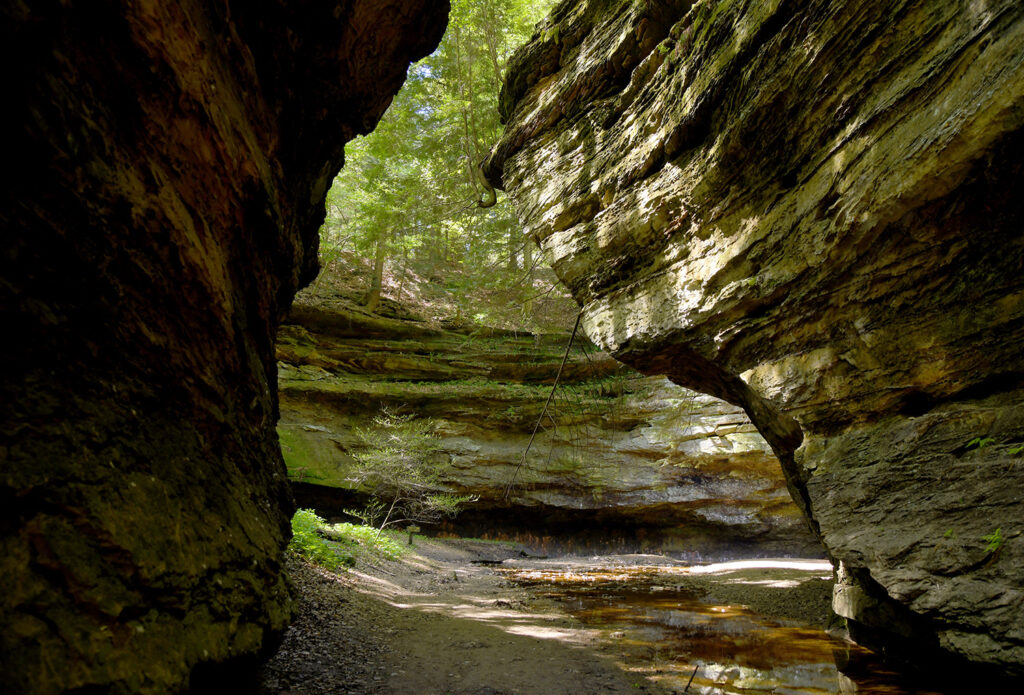 Turkey Run State Park