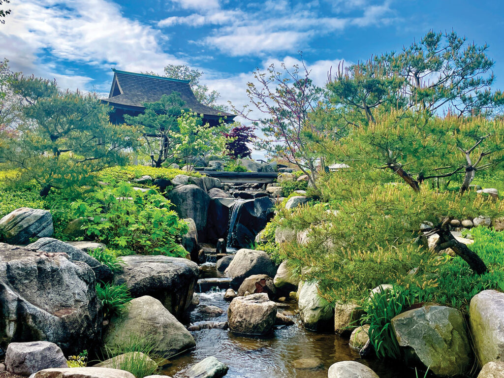 Wellfield Botanic Gardens