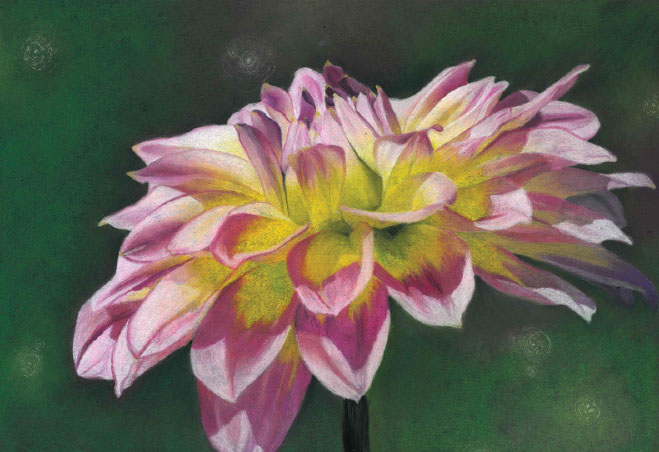 Olivia DeSchamp artwork