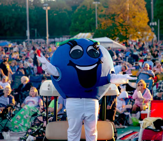 Blueberry Festival