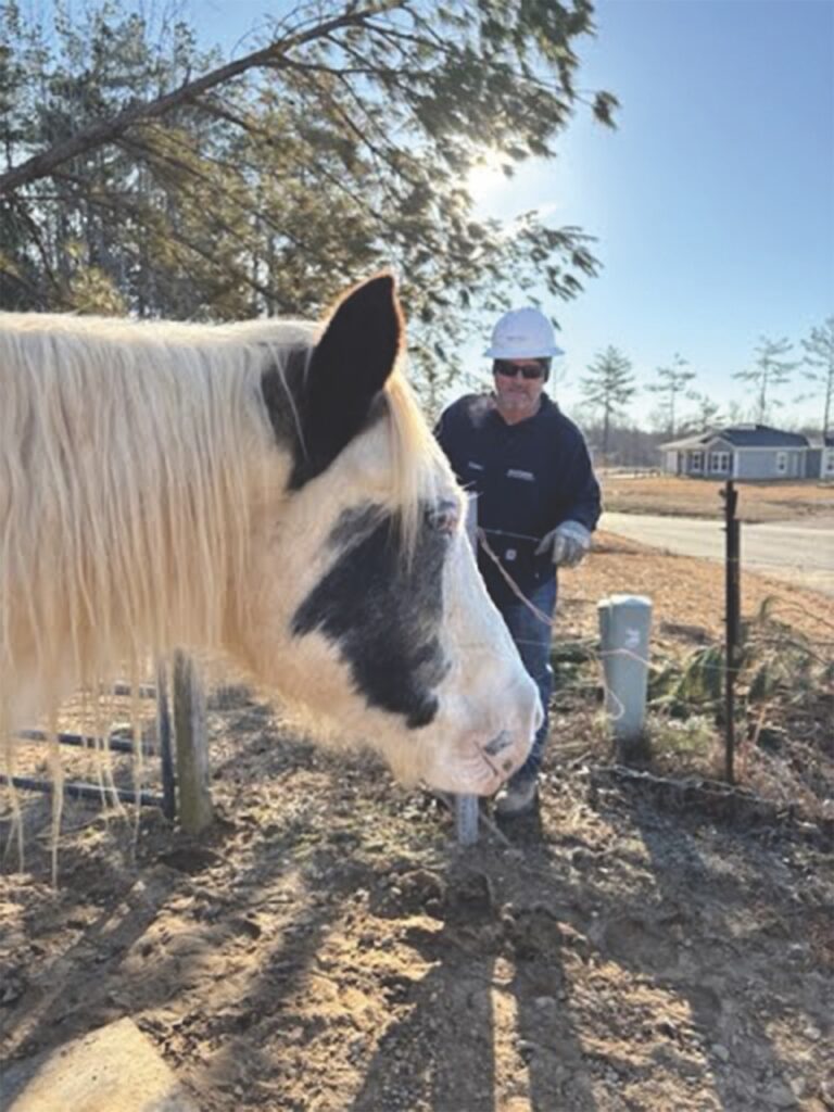 A horse looks on as a Southern Indiana Power Lineman Jim Applegate works in Mississippi.