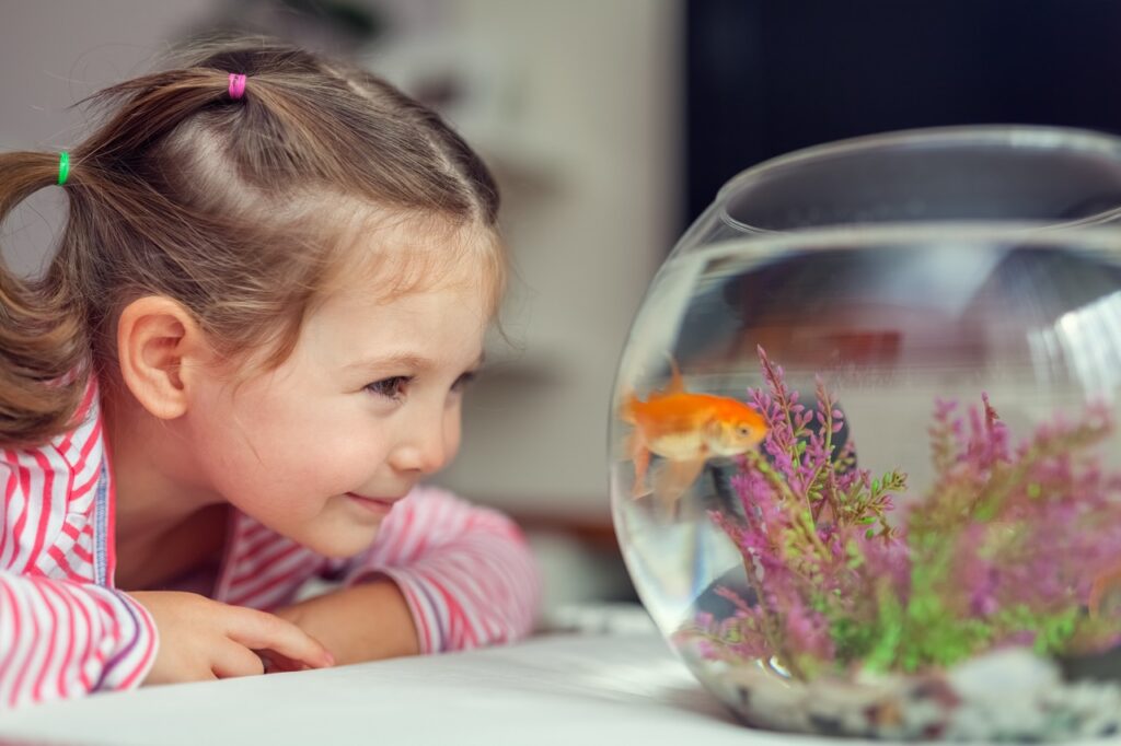 Girl with fish