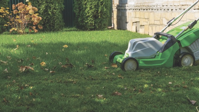 Electric lawn mower